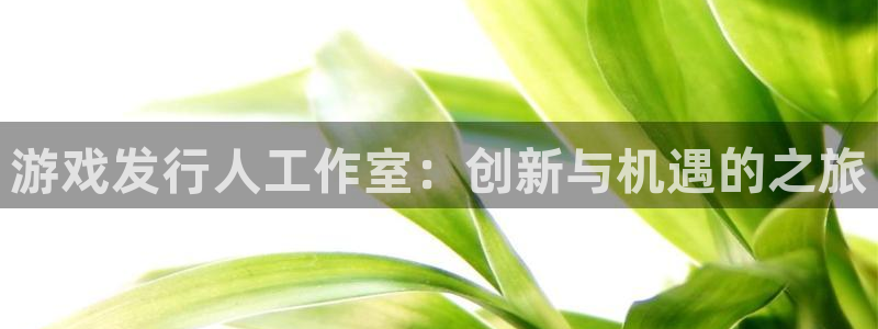 陕西雷火竞技子文化创意干啥的