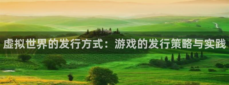 雷火电竞平台是骗局吗：虚拟世界的发行方式：游戏的发行策略与实践