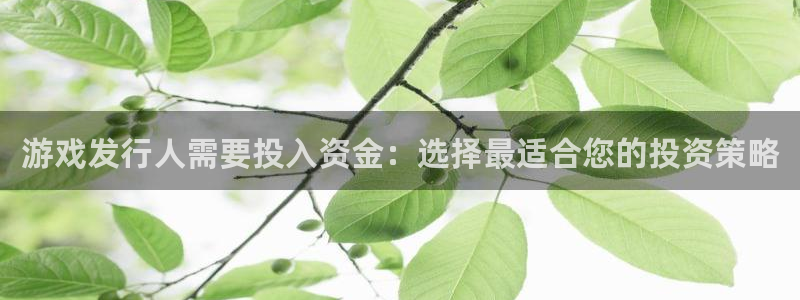雷火竞技智邦(北京)品牌策划有限公司：游戏发行人需要投入资金：选择最适合您的投资策略
