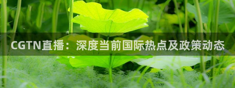 雨燕在线直播体育：CGTN直播：深度当前国际热点及政策动态