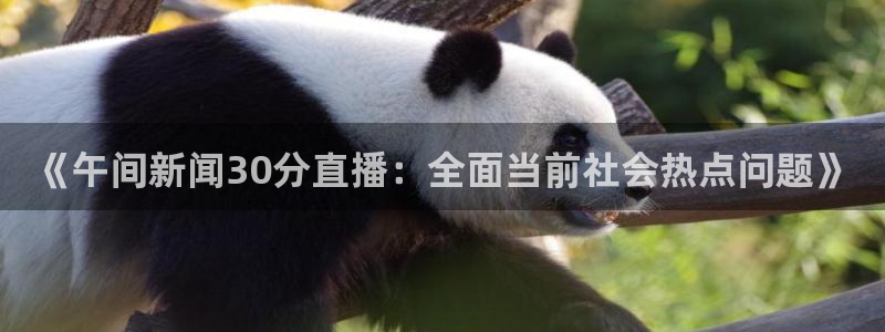 nba直播免费高清雨燕直播：《午间新闻30分直播：全面当前社会热点问题》