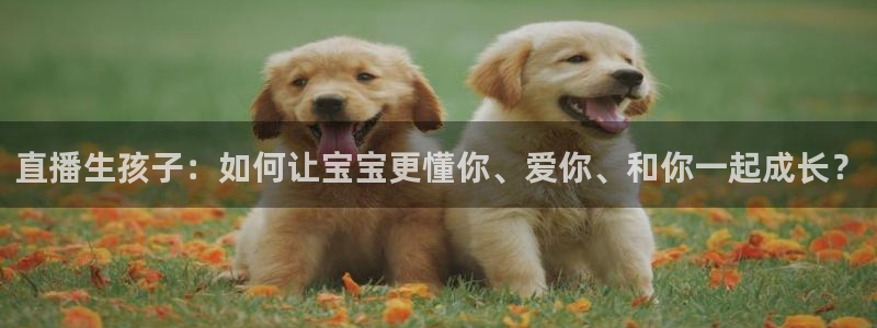 雨燕360体育直播全网发布.快速玩.org：直播生孩子：如何让宝宝更懂你、爱你、和你一起成长？