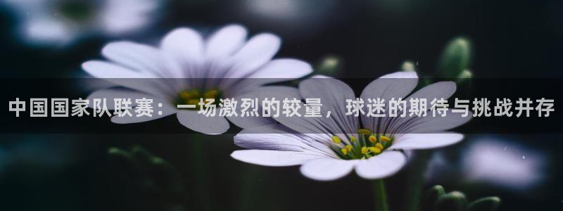 雨燕360体育免费直播cba：中国国家队联赛：一场激烈的较量，球迷的期待与挑战并存