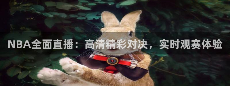 360体育足球雨燕直播：NBA全面直播：高清精彩对决，实时观赛体验