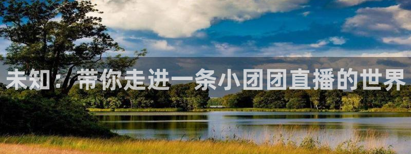 雨燕直播足球在线直播：未知：带你走进一条小团团直播的世界