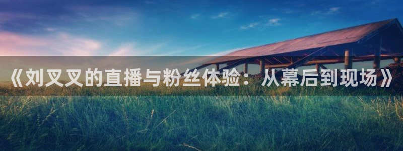 乐球直播雨燕直播：《刘叉叉的直播与粉丝体验：从幕后到现场》