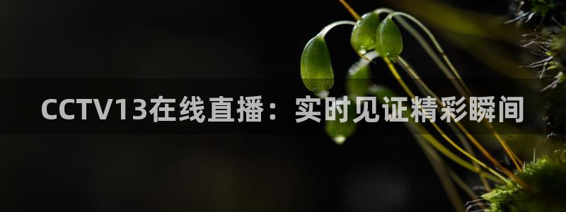 雨燕免费直播在线观看直播足球赛：CCTV13在线直播：实时见证精彩瞬间