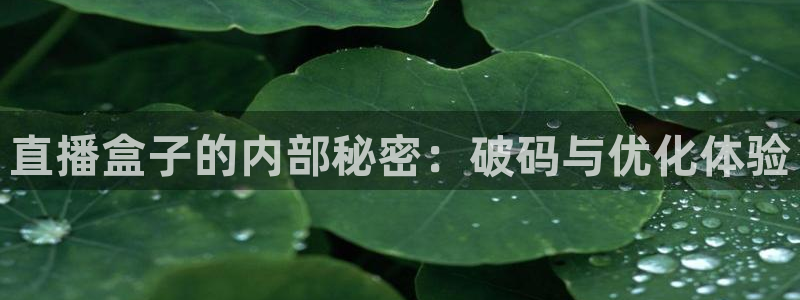 雨燕直播体育在线观看免费：直播盒子的内部秘密：破码与优化体验