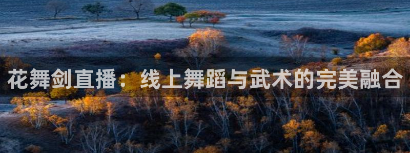 雨燕360体育免费直播nba排名：花舞剑直播：线上舞蹈与武术的完美融合