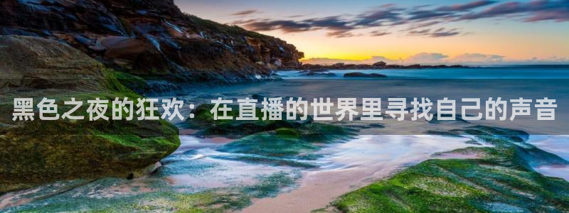 雨燕360体育直播在线观看：黑色之夜的狂欢：在直播的世界里寻找自己的声音