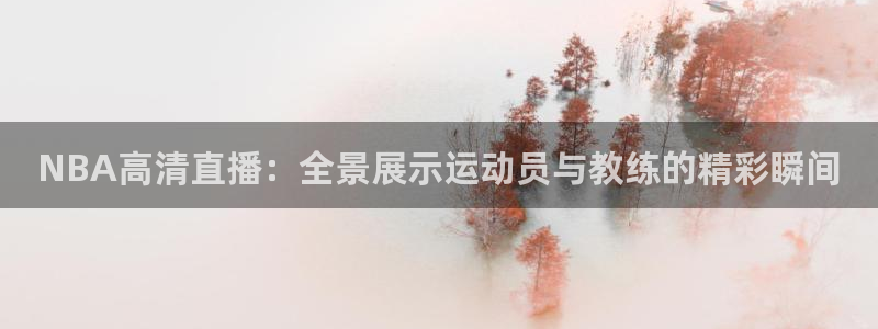 360雨燕直播足球：NBA高清直播：全景展示运动员与教练的精彩瞬间