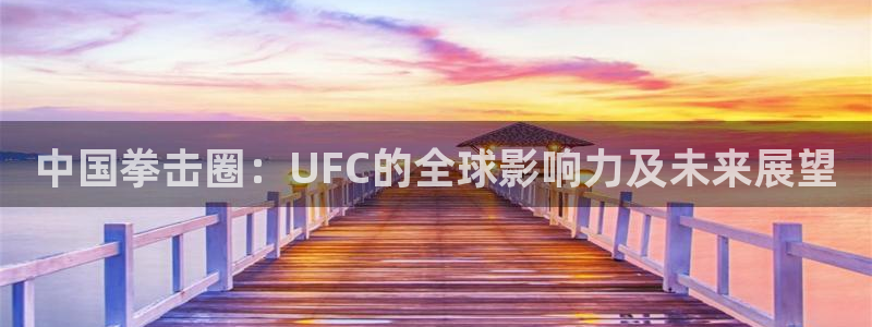 乐球吧nba直播雨燕360
