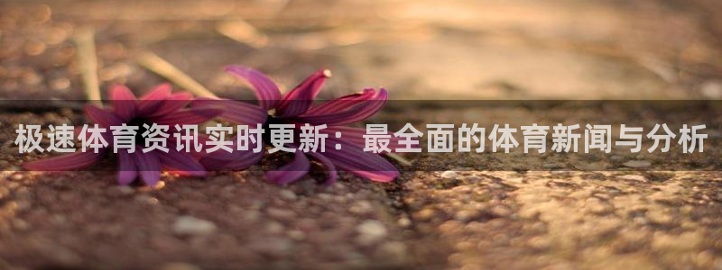 nba雨燕免费直播高清直播：极速体育资讯实时更新：最全面的体育新闻与分析