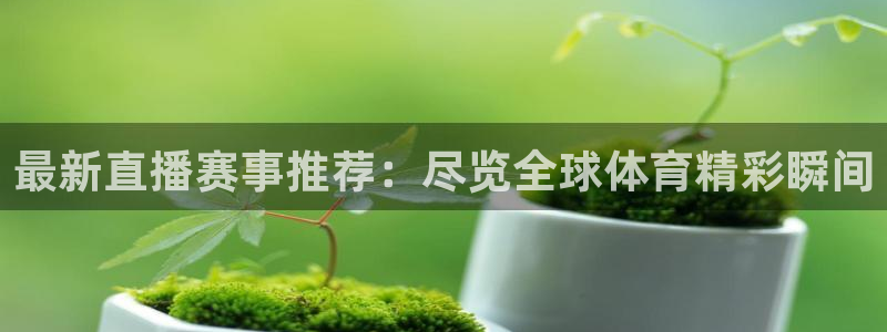 雨燕足球在线直播免费：最新直播赛事推荐：尽览全球体育精彩瞬间